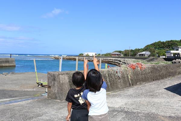 あ！  建物が見えてきました。
